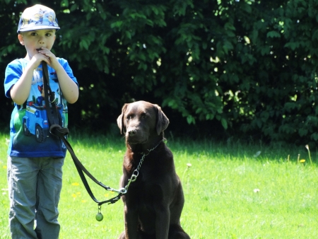 Labrador von der Zauberschmiede kooperiert auch mit Kindern....