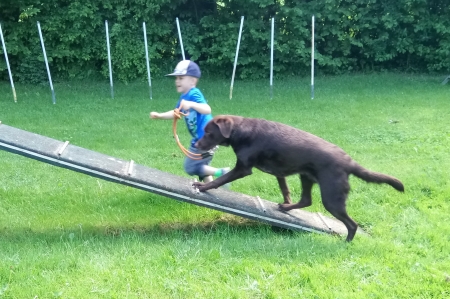 Auch Kinder können mitmachen.