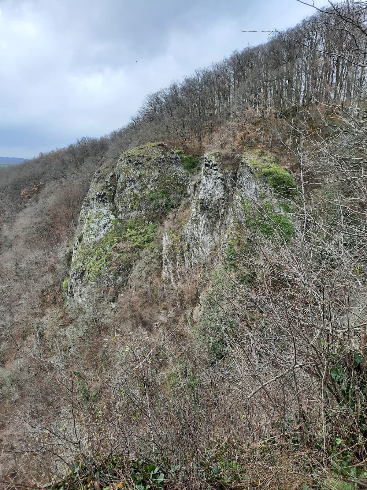 Bleibhund Steinsberg Gabelstein Ausflug: Felsen