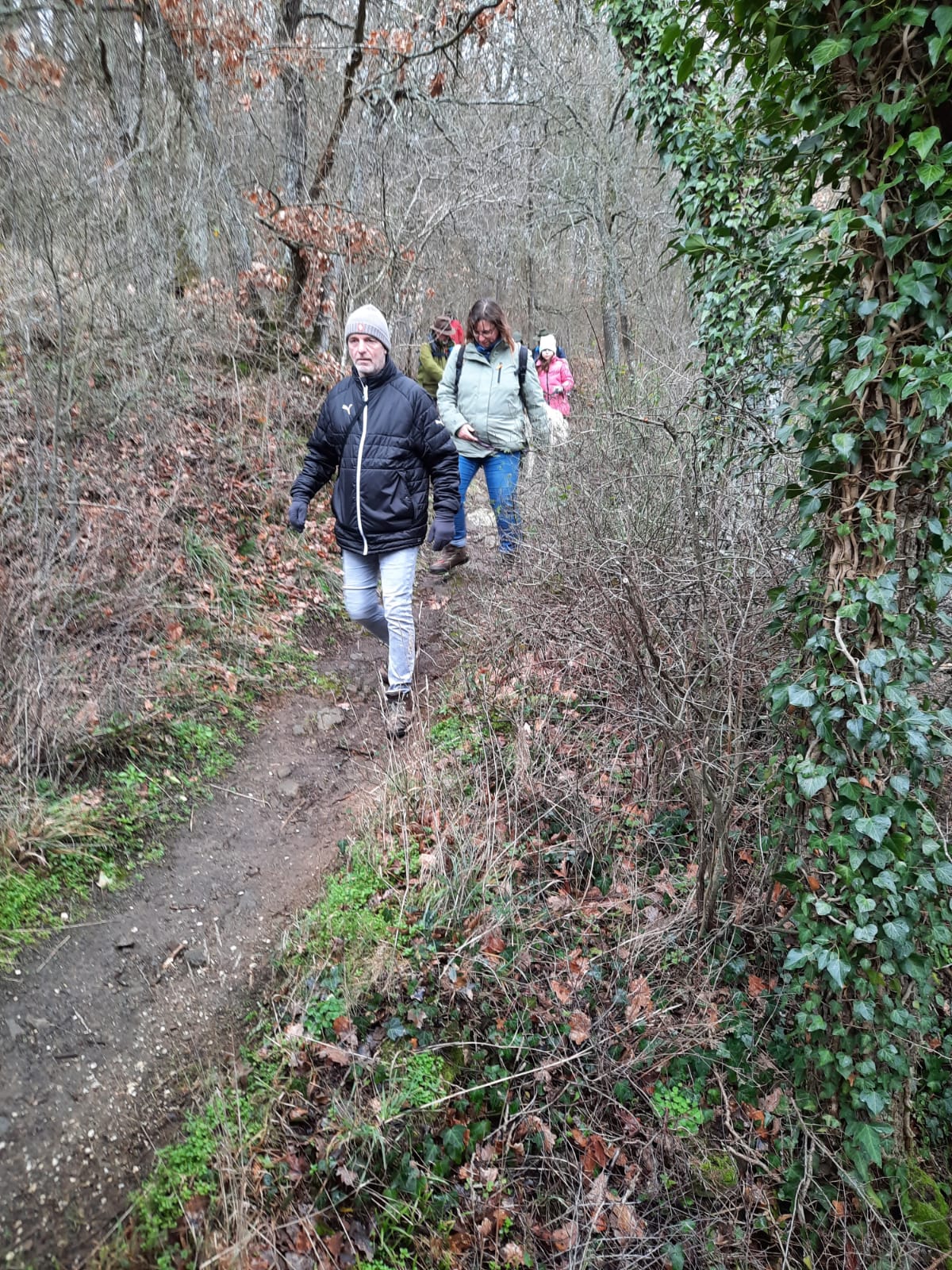 Bleibhund Steinsberg Gabelstein Ausflug: Über Stock und Stein