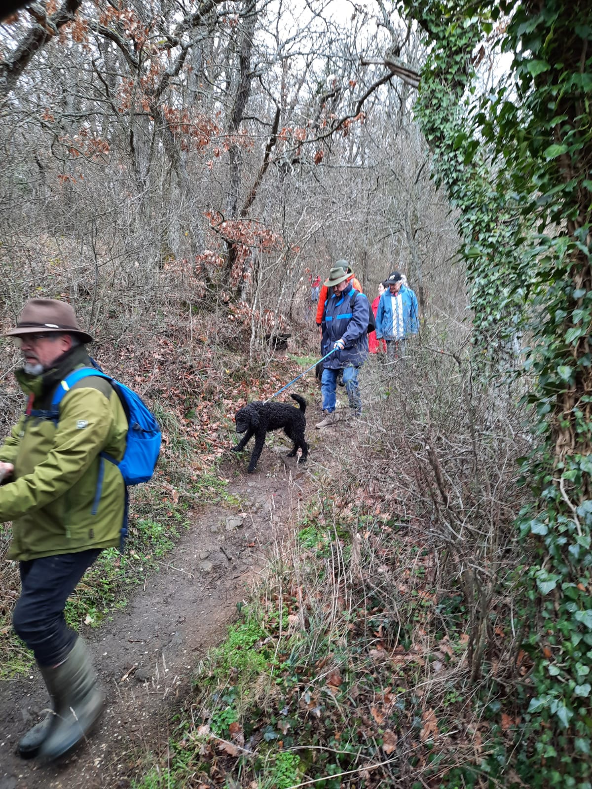 Bleibhund Steinsberg Gabelstein Ausflug: Die Wanderung