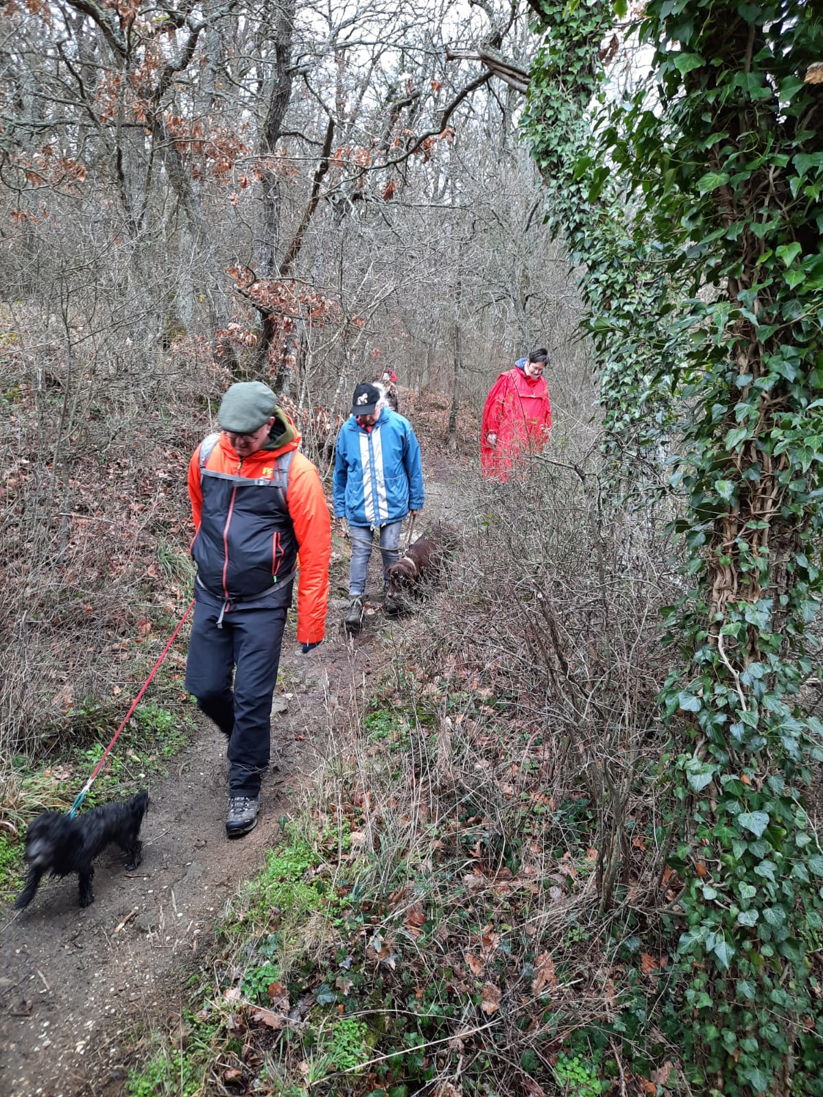 Bleibhund Steinsberg Gabelstein Ausflug: Auf dem Weg