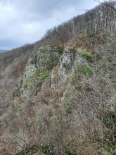 Bleibhund Steinsberg Gabelstein Ausflug: Felsen