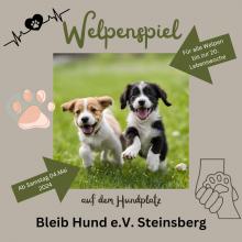 Welpenspiel Welpentref SA 15 Uhr